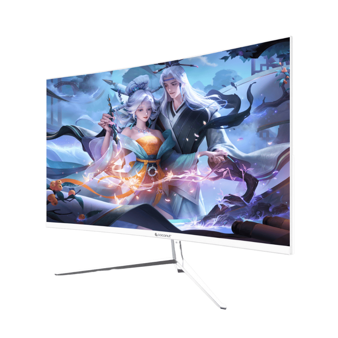 24 inch monitor